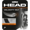 Head Velocity MLT 17g Tennis String (Set) -Tennis Equipment Shop 281404 velocity 1 1000 1000