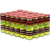 Penn Championship Regular Duty Tennis Balls (Case) 2 Penn Championship Regular Duty Tennis Balls (Case) -Tennis Equipment Shop pregcase 1000 1000